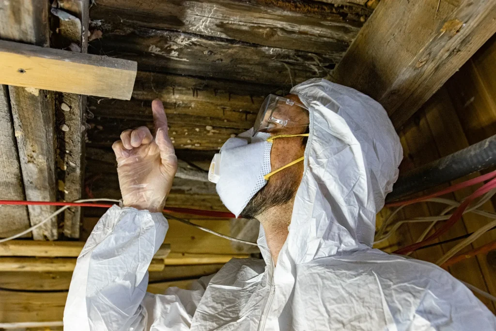 Asbestos Testing Largo Asbestos Surveys Largo Asbestos Inspections Image