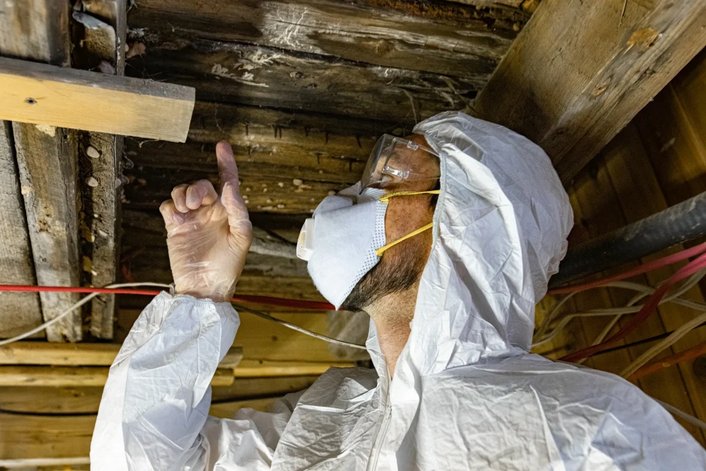 Asbestos Testing Manatee Asbestos Surveys Manatee Asbestos Inspections Image