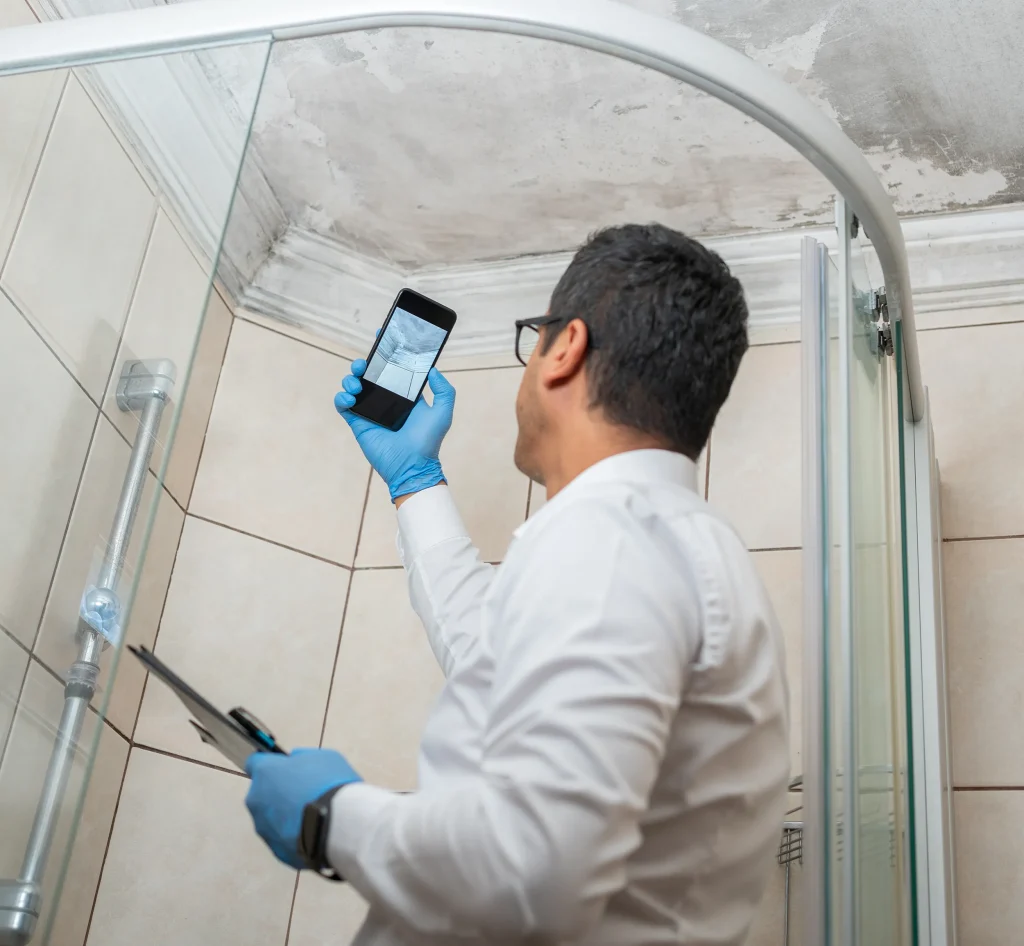 Mold Testing Pinellas Mold Surveys Pinellas Mold Inspections Image